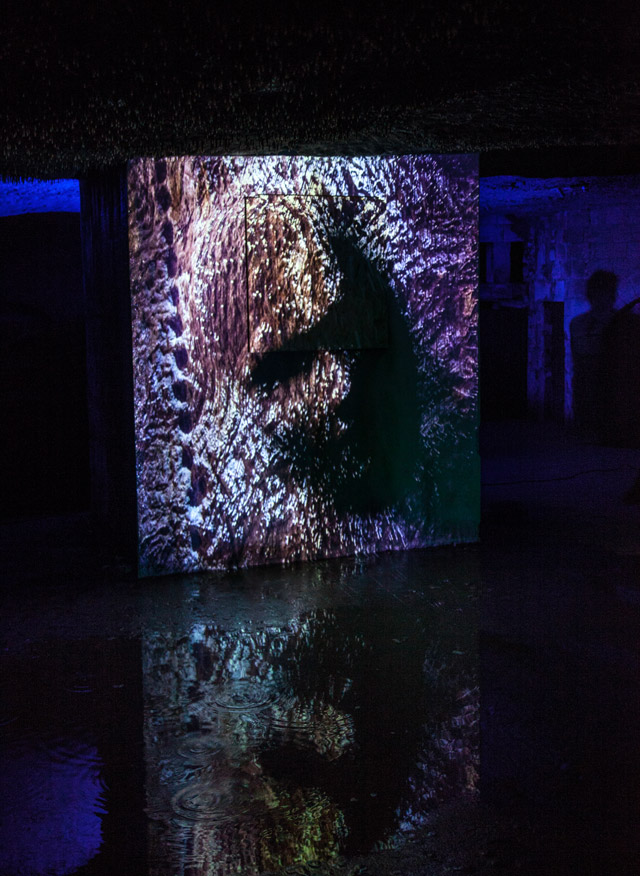 Les Nourritures Elémentaires, Chinon, Caves Painctes, Les Beaux Matins