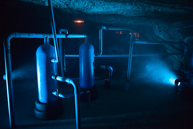 Chinon, Les nourritures élémentaires, Les Beaux Matins 