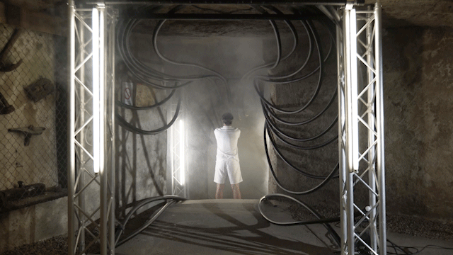 Chinon, Les nourritures élémentaires, Les Beaux Matins