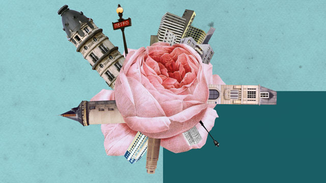 Quartier Libre Les Beaux Matins